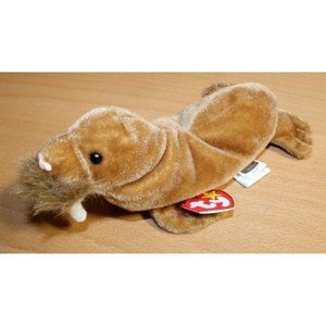 Ty Beanie Baby PAUL the Brown Walrus (1999) Retired (7 inch) NWT Plush Stuffed